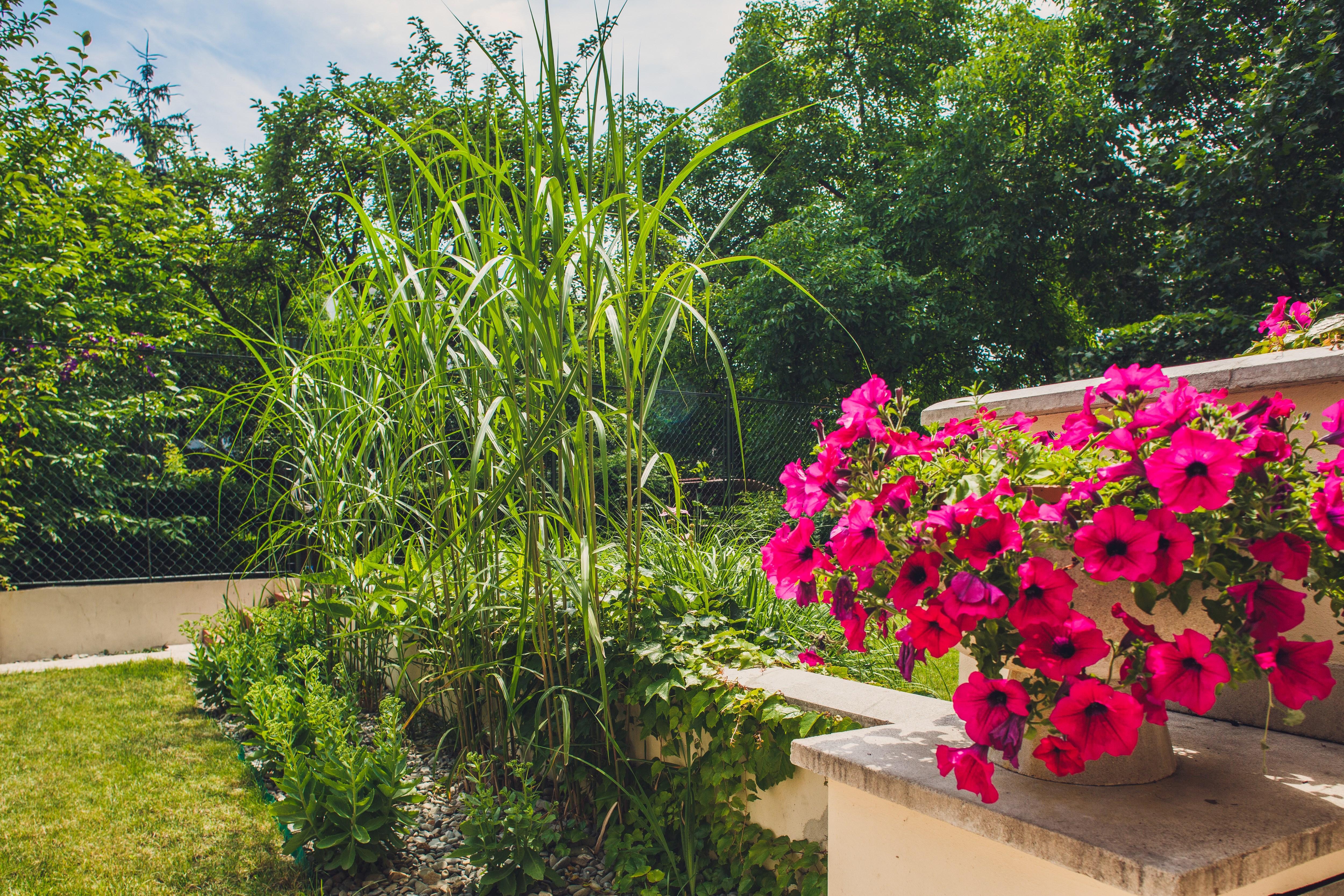 4Seasons﻿ Apartments Cracow Krakow Luaran gambar